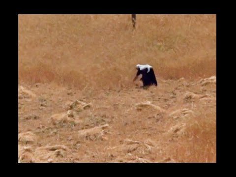 Yasmine Hamdan - Shmaali شمالي (Official Music Video)