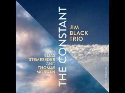 Jim Black Trio - The Constant (Full Album)