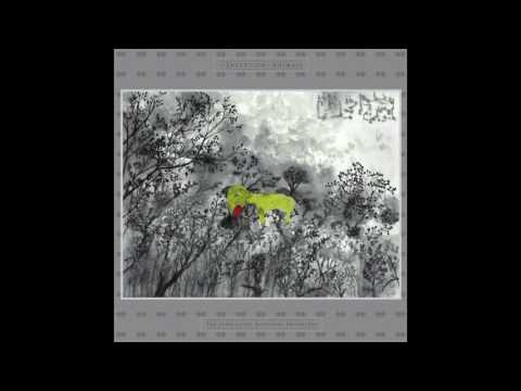 The John Lurie National Orchestra ― Flutter