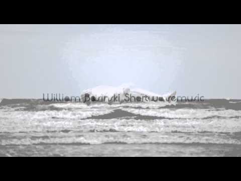 William Basinski - Shortwavemusic (Raster-Noton)