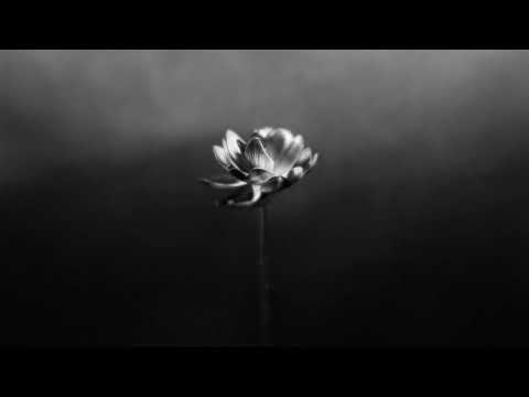 Little Simz - Lotus feat. Michael Kiwanuka &amp; Yussef Dayes (Official Audio)