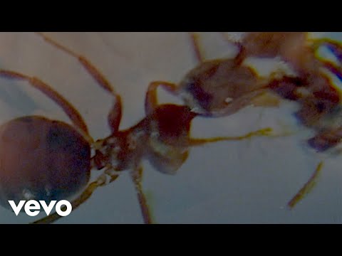 UNIVERSITY - Curwen (Official Video)
