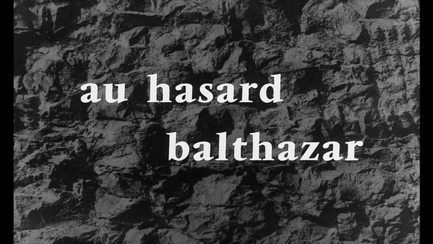 Наудачу бальтазар 1966. Наудачу Бальтазар Робер Брессон. Наудачу, Бальтазар (1966 год). Наудачу Бальтазар обложка. Наудачу, Бальтазар, 1966 Постер.