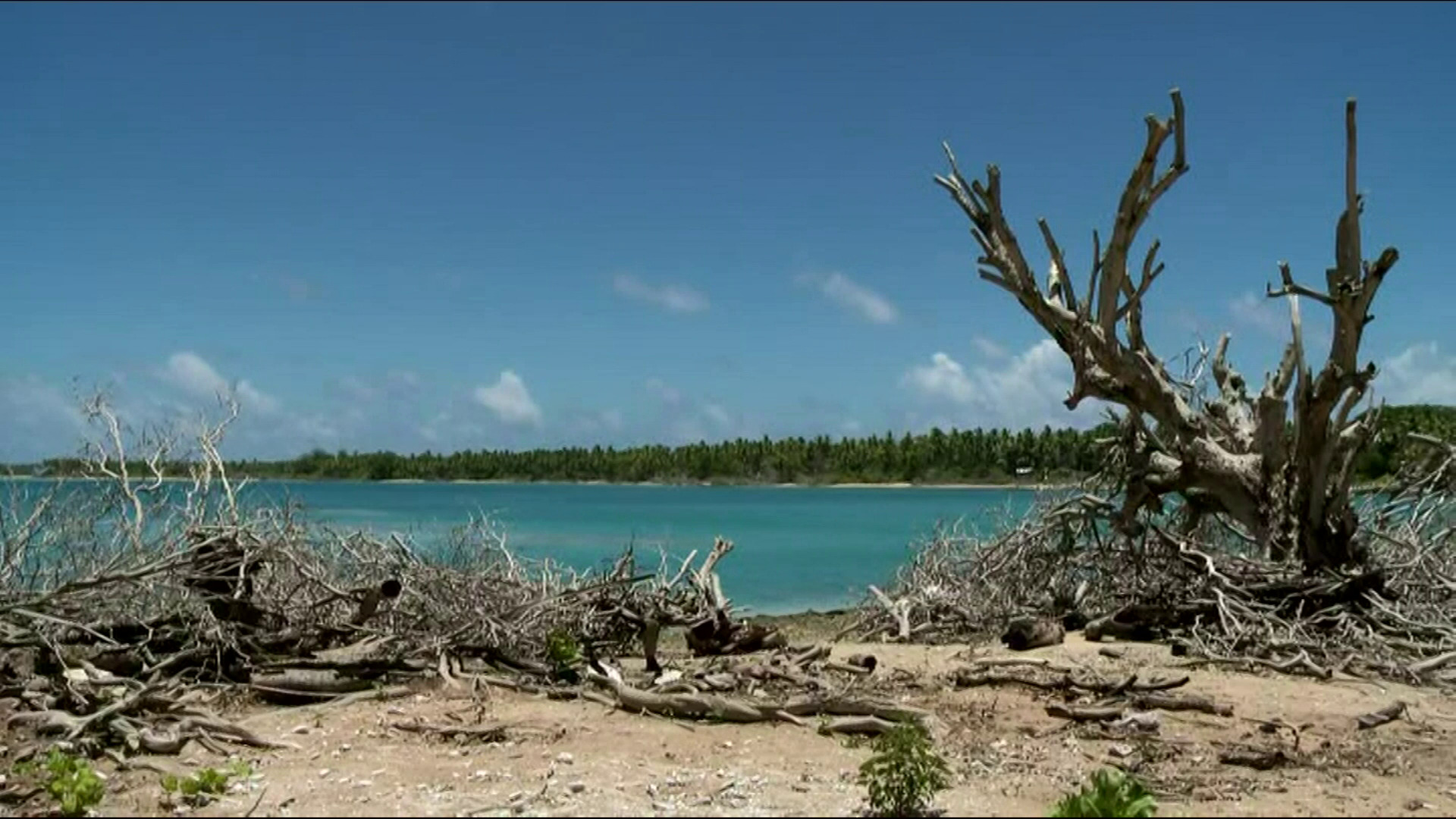 wfc-tuvalu-thuletuvalu-random-thoughts