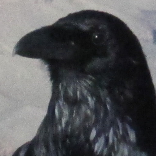 Unknown's avatar