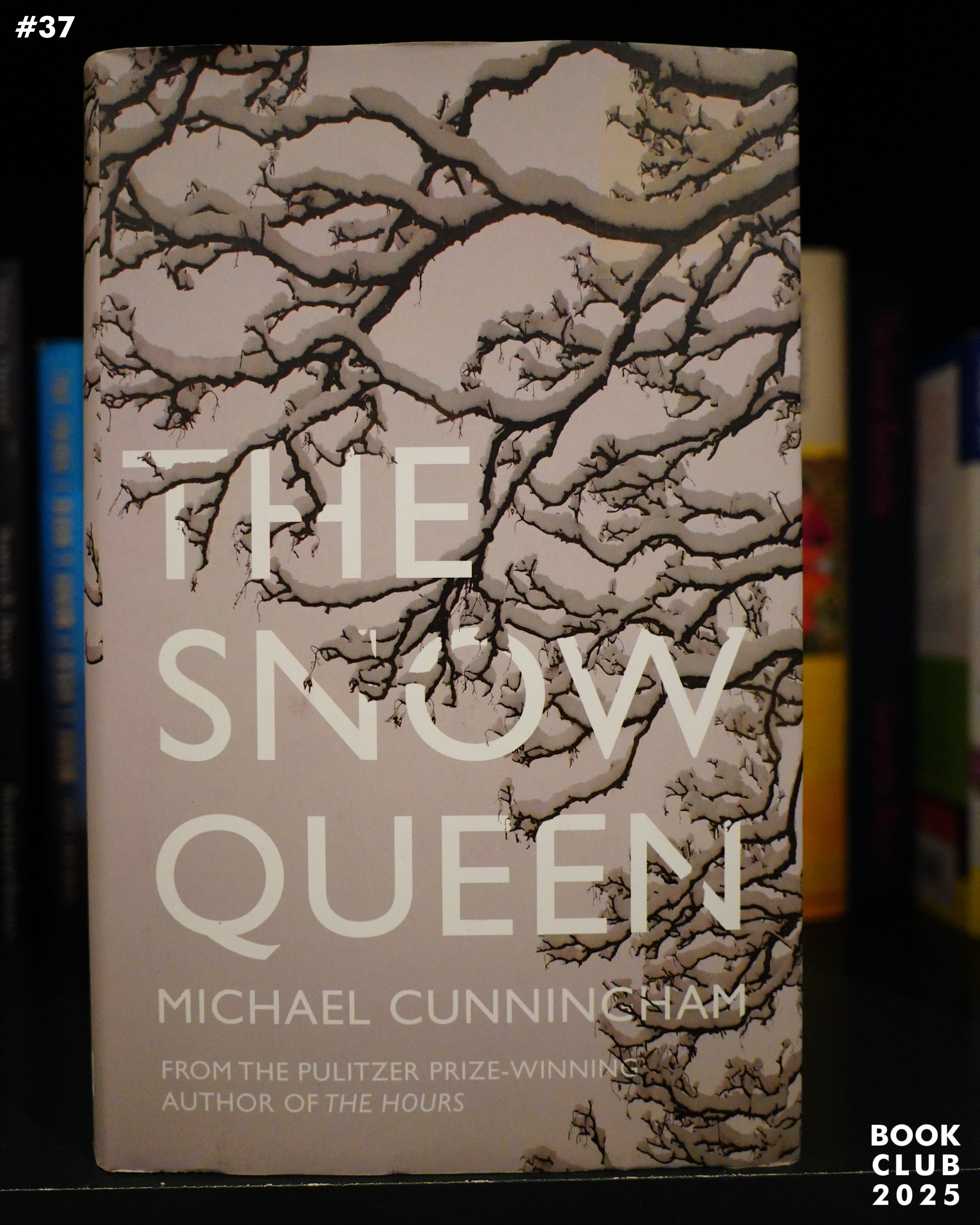 Book Club 2025: The Snow Queen by Michael Cunningham – Random Thoughts